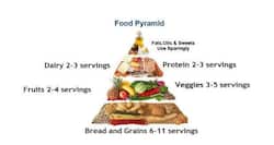 Healthy plate replaces the food pyramid in Singapore