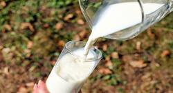 National Milk Day 2019 : दूध पीने से पहले इन फूड्स का सेवन करना ठीक नहीं