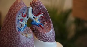 Lung Cancer Awareness Month : फेफड़े के कैंसर से बचने के लिए खूब खाएं ये दो चीज