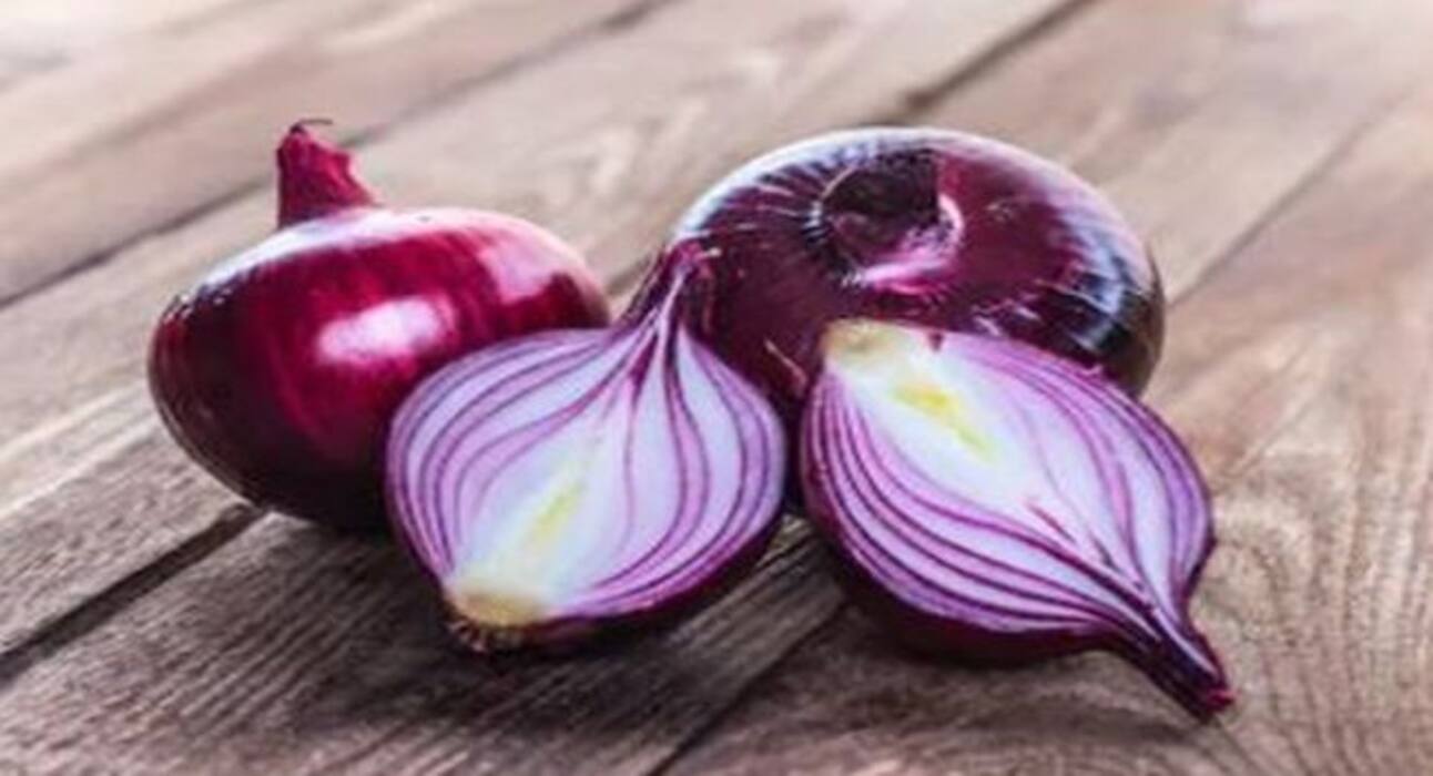 Foods for Winter : सर्दी में खाएंगे ये 5 चीजें, तो शरीर अंदर से रहेगा गर्म