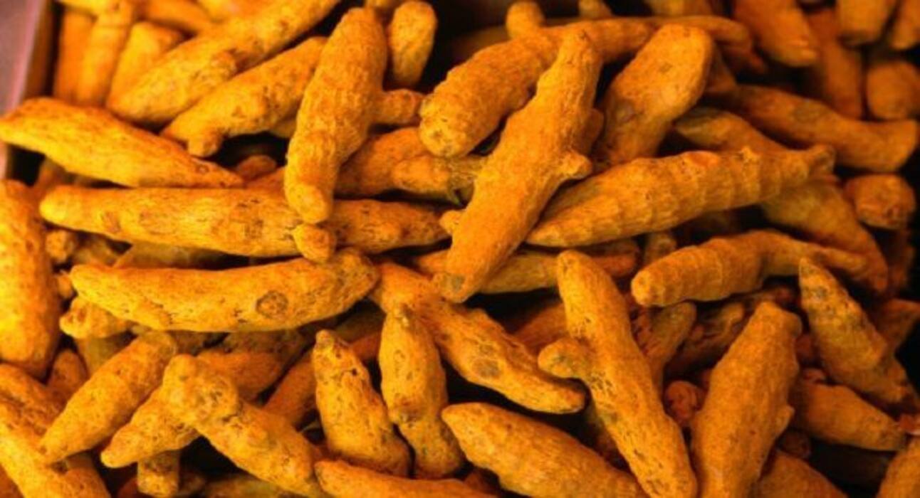 Foods for Winter : सर्दी में खाएंगे ये 5 चीजें, तो शरीर अंदर से रहेगा गर्म