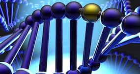 Genes responsible for self-control, decision-making and sociability!