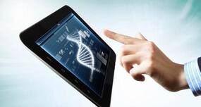 Mutated Dyrk1b – the dastardly gene responsible for obesity, high blood pressure and diabetes?