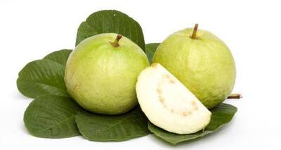 Boost your immunity with guavas this winter | TheHealthSite.com