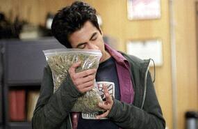 Recreational drug use -- guess which country gets high the most?