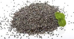 Top 8 health benefits of khus khus or poppy seeds