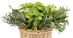 5 herbal remedies to prevent gum disease