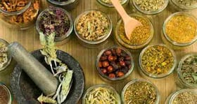 Are alternative therapies really safer than Allopathy?