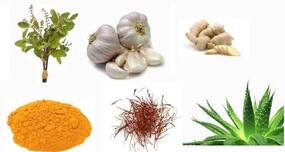 Can herbal remedies beat cancer?