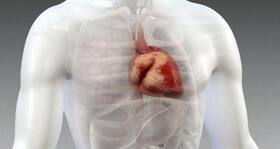 Researchers suggest a new MRI method for better diagnosis of heart disease