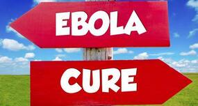 Latest Ebola Treatment: Ebola vaccine effective in monkeys for 10 months