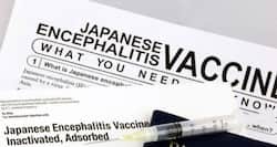 West Bengal Encephalitis Update: Bengal may use japanese encephalitis vaccine in Cooch Behar