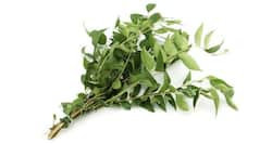 Add kadi patta or curry leaves to your diet to fight diabetes