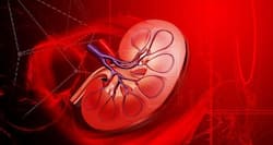 Kidney disease – types, causes, symptoms, diagnosis, treatment and prevention