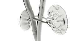 Protect your kidneys and save your heart