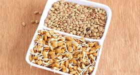 Kulthi for Weight Loss : कुलथी और कुलथी की दाल खाने से तेजी से होता है वजन कम, जानें कैसे