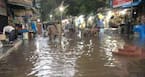 Leptospirosis - 10 simple tips to prevent it