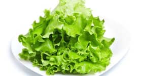 Add lettuce to your plate for 6 healthy reasons