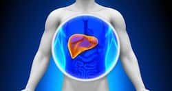 Today health tips: Stop destroying your liver with these bad habits