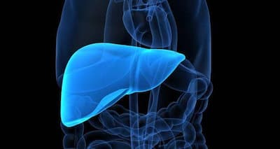 6 symptoms of liver disease you shouldn't ignore | TheHealthSite.com