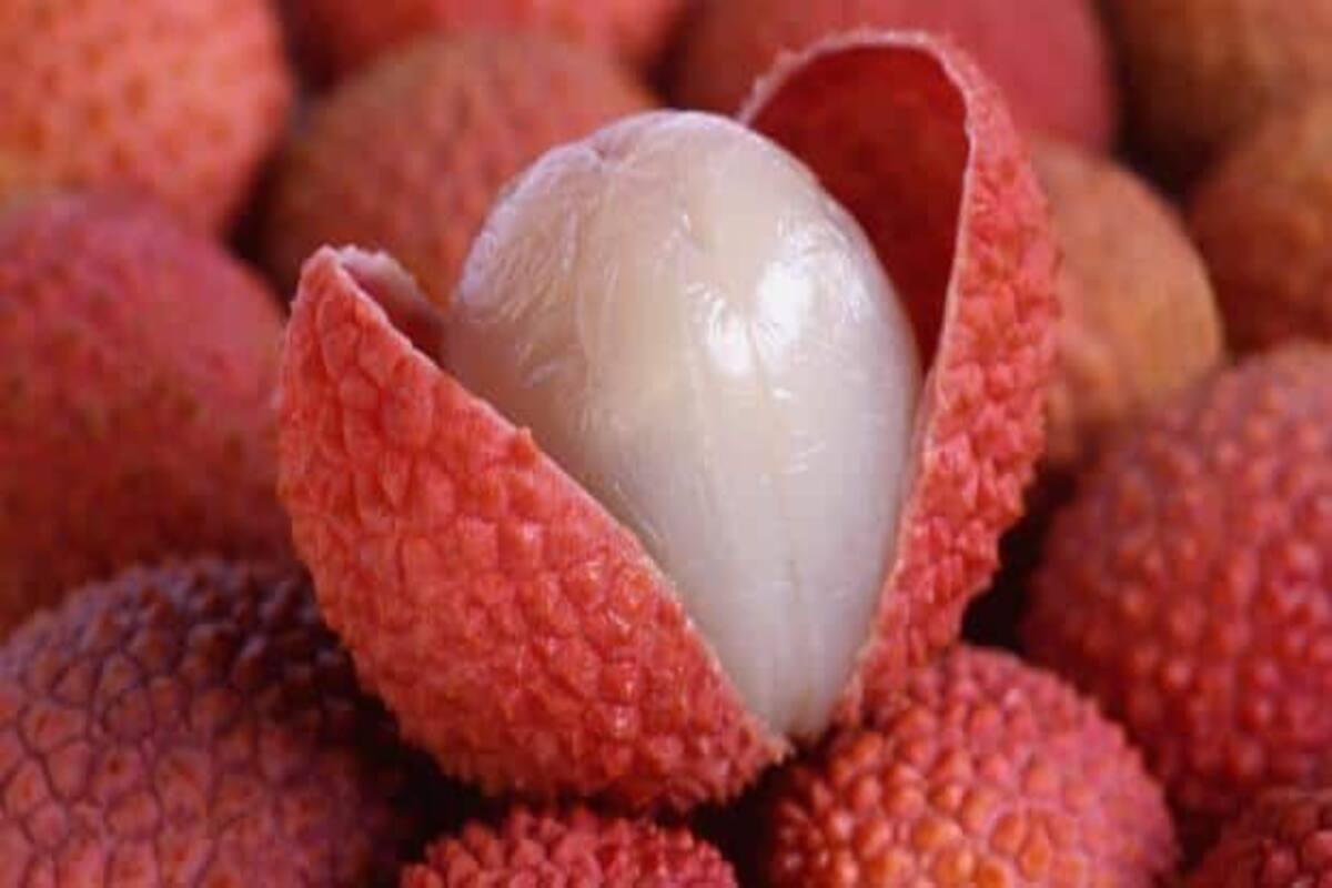 8 Reasons You Should Have Litchi This Summer Thehealthsite Com,Sansevieria Cylindrica Care