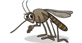 International organisation MSF extends help to control Tripura's malaria outbreak