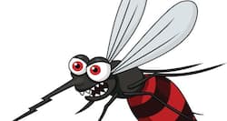 World Malaria Day 2014: Unplanned construction work leading to malaria increase