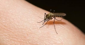 55 die of malaria in Tripura