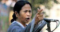 West Bengal Dengue Update: Mamata asks media not to spread 'false rumours'