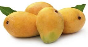Eating mangoes daily may reduce blood glucose levels in obese adults