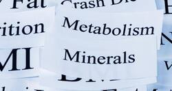 Your gene regulations responsible for your metabolism