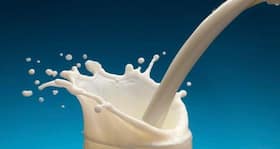 Milk proteins may have cancer preventive effect