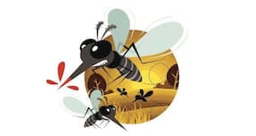 Tripura malaria deaths rise to 67 in month
