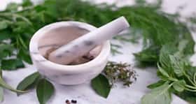Naturopathy: The drug free guide to good health