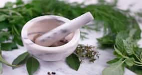 Naturopathy: The drug free guide to good health