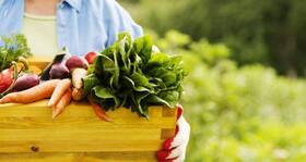 Why is organic food better for your health?
