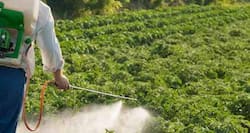 'Delhi government can't fight food adulteration on its own'