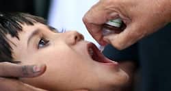 Polio outbreak in Pakistan claims 82 lives