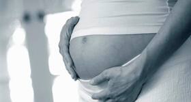 The Ultimate Fertility Quiz