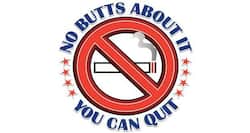 Goa NGO demands smoking ban at polling booths