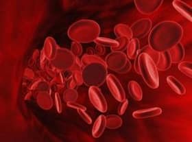 There's more to anaemia than just iron deficiency!