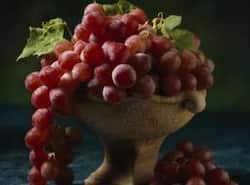 Eating red grapes, blueberries could enhance your immune system