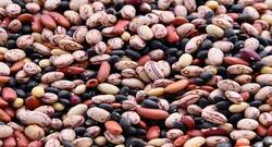 Include these legumes in your meals, your heart will thank you