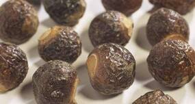 Beauty Tip #5: Prevent hair loss with soap nuts or reetha