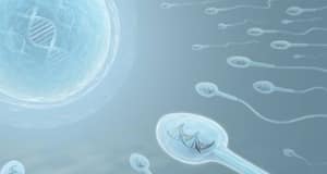 Diabetes affects your sperm too! Diabetes affects your sperm too!