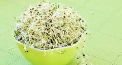 9 reasons sprouts are good for your health