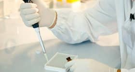 Stem cell and 'organ-on-a-chip' merger step forward for personalized meds