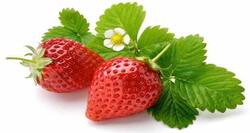 Strawberries and cucumbers could help inhibit Alzheimer’s