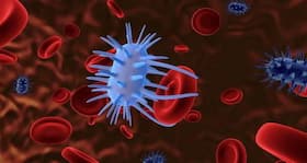 New superbug discovered by Aligarh scientists