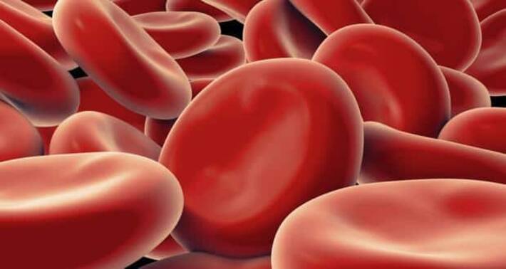 Thalassemia -- causes, symptoms, diagnosis, treatment and prevention